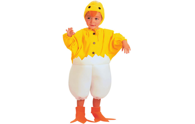 POLLITO T-0