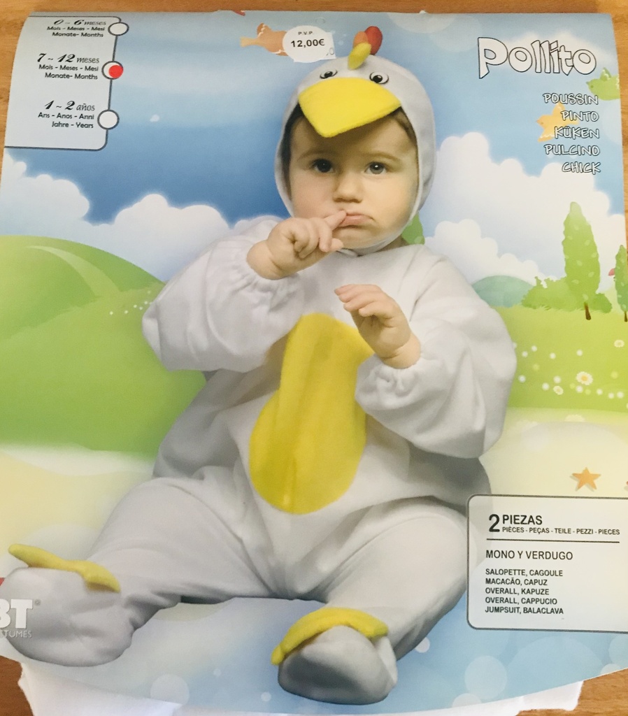POLLITO 7-12 MESES