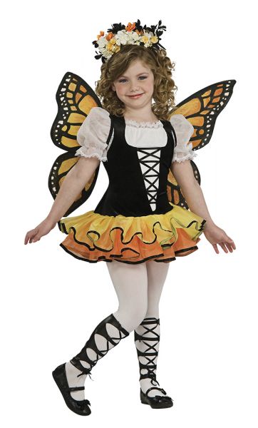 MARIPOSA MONARCA  3-4