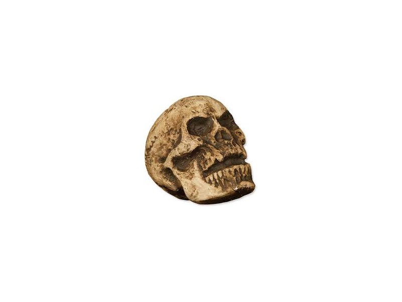 CALAVERA 17 CMS.DECREPITA
