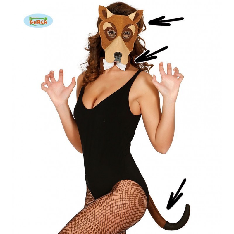 CONJUNTO PERRO