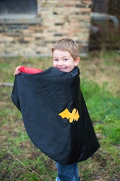 [55273] Reversible Spider Bat Cape 5/6